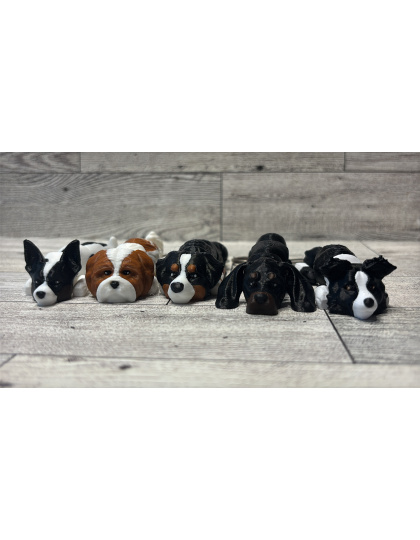 Dogs