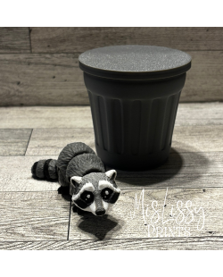 Raccoon