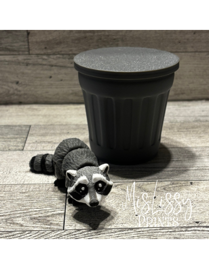 Raccoon