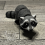 Raccoon