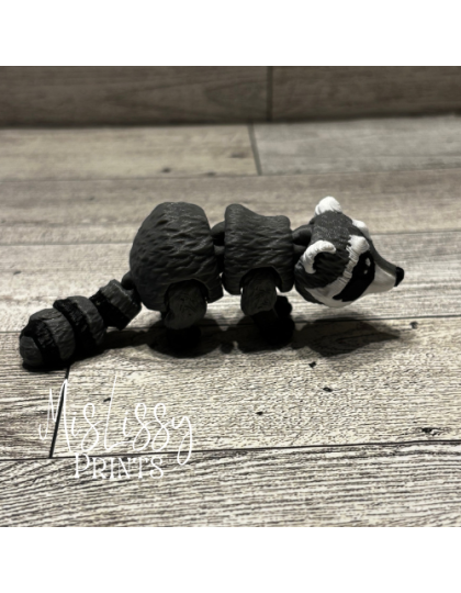 Raccoon