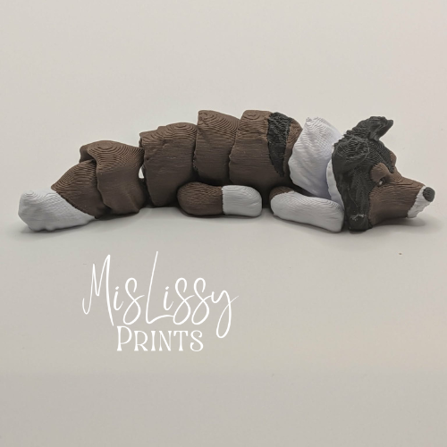 Rough Collie - Image 4