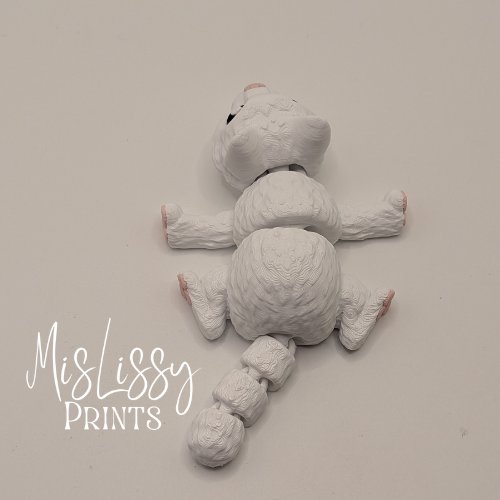 Cat - White - Image 2