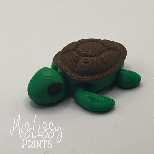 Turtle - Image 5