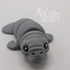 Manatee - Baby