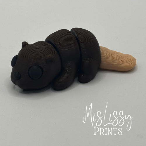 Beaver - Image 2