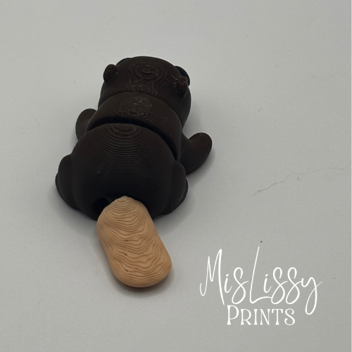 Beaver - Image 3
